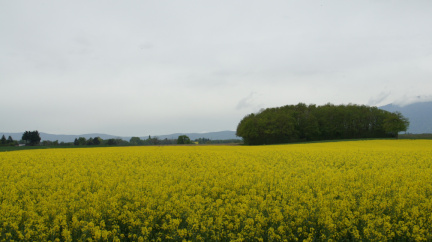 DSC02757
